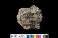 藏品(礫岩)的圖片